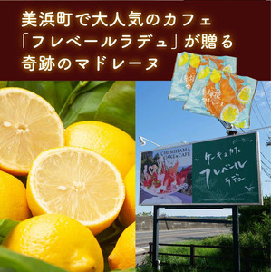 爽やかな風味♪ 美浜檸檬マドレーヌ 15個 フレベールラデュ 焼き菓子 洋菓子 スイーツ お菓子 個包装 贈り物 プレゼント 愛知県 美浜町