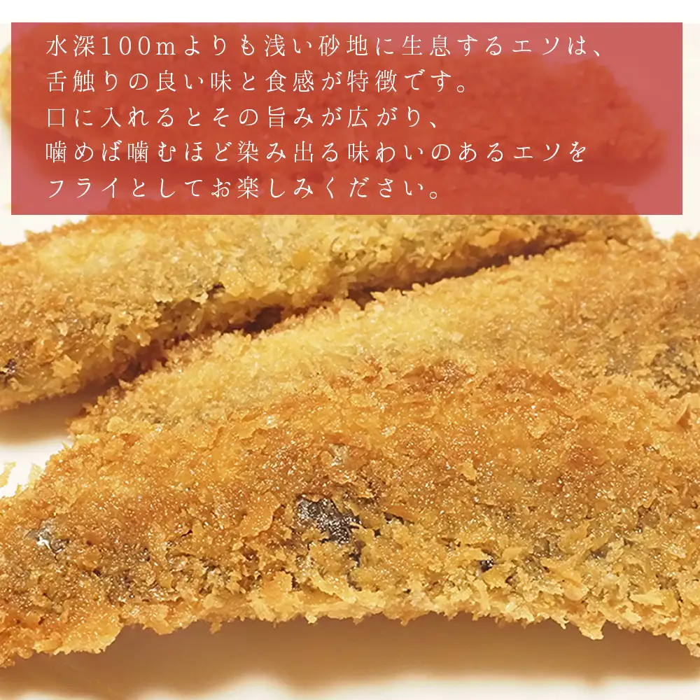 エソフライとタイフライ(各2パック) B9-S