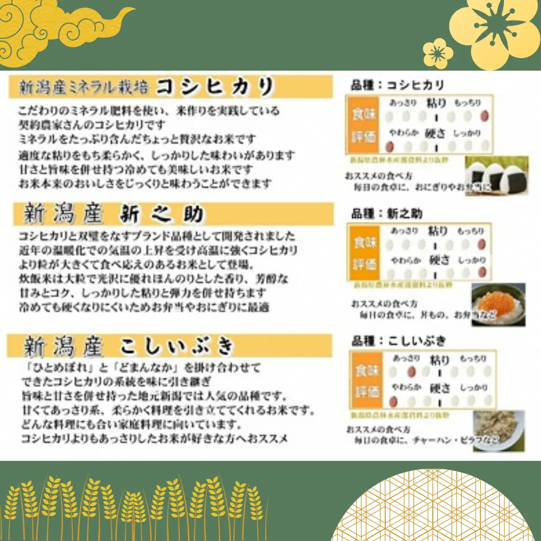 【令和7年産】新潟人気米セット 6kg (2kg×3種) ミネラル栽培コシヒカリ 新之助 こしいぶき 精米 白米 井上米穀店  新潟県 米 こめ コメ  1I27020