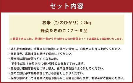 【令和7年度産】 熊本県（七城）産のお米と熊本県産の野菜ときのこ お米（2kg）・野菜＆きのこ（7～8品） 精米 単一原料米 ひのひかり   ジャガイモ ニンジン シイタケ 【2025年11月上旬発送開始】