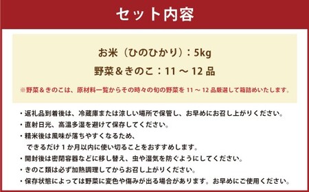 【令和7年度産】 熊本県（七城）産のお米と熊本県産の野菜ときのこ お米（5kg）・野菜＆きのこ（11～12品） 精米 単一原料米 ひのひかり   ジャガイモ ニンジン シイタケ 【2025年11月上旬発送開始】