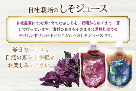 AJ306 感動の赤しそジュース パウチ 200ml 2P 感動の青しそジュース パウチ 200ml 2P [ 長崎県 島原市 ]