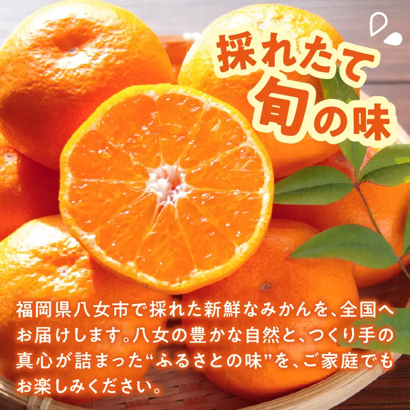 ＜道の駅たちばなオリジナル＞みかん5kg詰合せ（2026年10月上旬より発送開始） みかん ミカン オレンジ くだもの 果物 フルーツ デザート 極早生 早生 甘い 福岡県 八女市 054-015