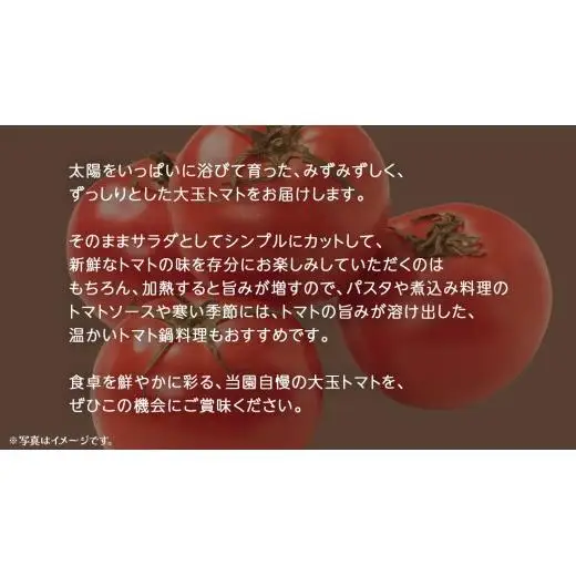 大玉 トマト 6kg (茨城県共通返礼品：大子町)