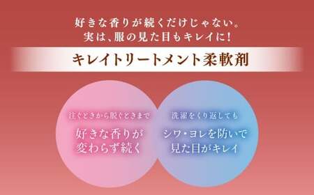 ソフラン アロマリッチ ダイアナ つめかえ 380ml×20個 ライオン 洗剤 洗濯用洗剤 洗濯 日用品 日用消耗品 詰め替えセット つめかえ 詰替 神栖市