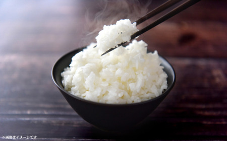 《3回定期便》神代米（コシヒカリ）　精白米　10kg ／ 米 こめ コメ ごはん ご飯 コシヒカリ こしひかり 令和7年産 精米 10kg 定期便 送料無料
