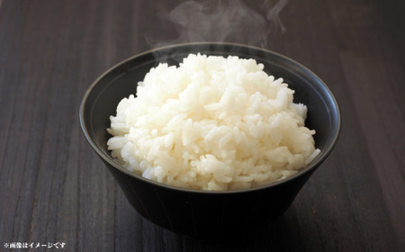 《3回定期便》神代米（粒すけ）　精白米　10kg ／ 米 こめ コメ ごはん ご飯 神代米 粒すけ 令和7年産 精米 10kg 定期便 送料無料