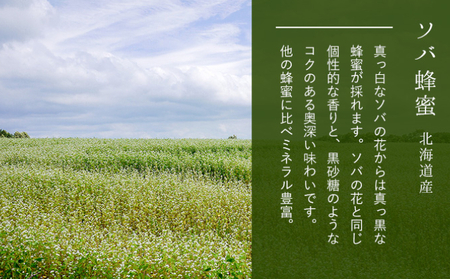【国産純粋蜂蜜】北海道産 そば蜂蜜 1kg パック入り【 はちみつ ハチミツ 蜂蜜 ハニー 健康 美容 料理  純粋 希少  ギフト プレゼント 自宅用 家庭用 北海道 十勝 幕別 】