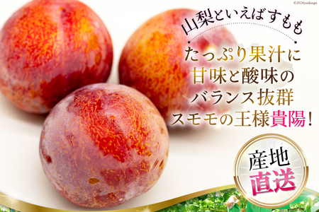 貴陽 (大玉) [株式会社えべし 山梨県 中央市 21470728] 果物 くだもの スモモ すもも プラム 李 もも 山梨県産 期間限定 季節限定 冷蔵 【2026年7月上旬-8月上旬発送予定】