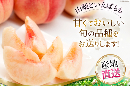 山梨県産 桃 約 3kg [株式会社えべし 山梨県 中央市 21470559] もも モモ フルーツ 果物 くだもの 3キロ 産地直送 季節限定 期間限定 冷蔵 【2026年6月下旬-8月下旬発送予定】