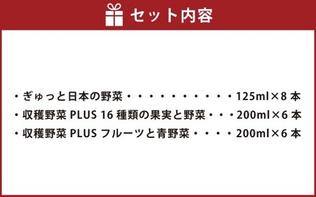 お野菜日和！ 毎日野菜セット 計20本 （ぎゅっと日本の野菜 125ml × 8本 ／ 収穫野菜PLUS 16種類の果実と野菜 200ml × 6本 ／ 収穫野菜PLUS フルーツと青野菜 200ml × 6本） ／ 野菜飲料 野菜ジュース 野菜 フルーツ ジュース 機能性表示食品 食物繊維 JA熊本果実連 国産野菜 紙パック 飲料類 3種 セット 熊本県 熊本市 常温 