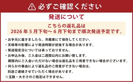 桃 はなよめ 秀品 約900g 6-10玉入り お取り寄せ クール便でお届け 温室桃 熊本植木産 千代姫 日川白凰 白凰 もも ピーチ フルーツ 冷蔵 【2026年5月下旬～6月下旬迄順次発送予定】