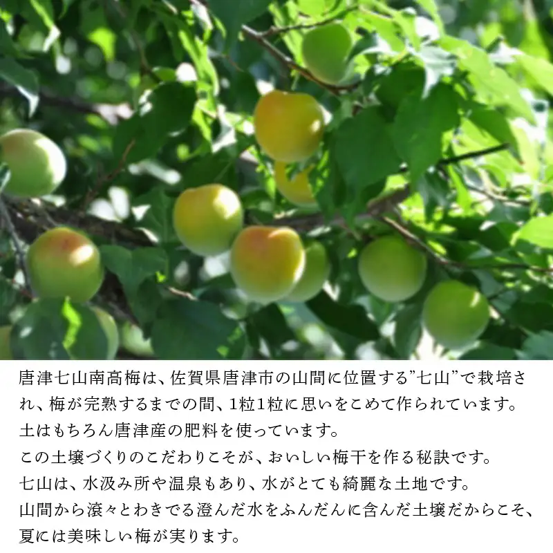 唐津市七山南高梅 田舎梅 (500g×1) 梅干し