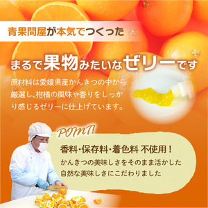 【定期便3回】 旬のちゅうちゅうゼリー 定期便 10個 | ゼリー ゼリー ゼリー ゼリー ゼリー【OF012】