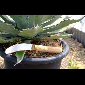 万能鎌　Utility sickle／135ｍｍ　園芸 植物 植え替え 鉢替え ガーデニング