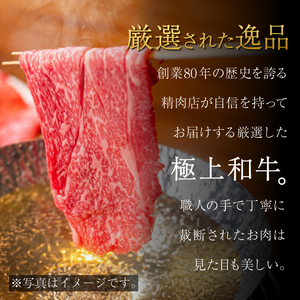赤身 しゃぶしゃぶ 牛肉 肉 もも 500g 国産牛 阿波牛 しゃぶしゃぶ