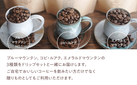 2748 【 全3回 定期便 】 【 焙煎 粉 】 ＜ 自家焙煎 珈琲屋さんが作る ちょっといい 珈琲 と ドリップ セット （ ブルーマウンテン ・ エメラルドマウンテン ・ コピルアク ） ＞ KN078-T04 コーヒー