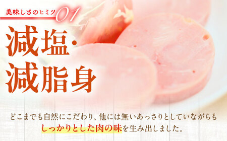 白川ハム 2種セット ハム詰め合わせ 白川町 / 白川町農業開発[AWAH016]
