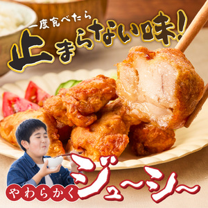 唐揚げ　500g×2袋 _ 500g × 2袋 計 1000g 肉 鶏肉 手間なし 簡単 調理 レンジ調理 便利 おかず 惣菜 晩ごはん おつまみ 晩酌 加工品 食品 グルメ 揚げ物 フライ 冷凍 福岡県 久留米市 お取り寄せ 送料無料  〔Ax165〕
