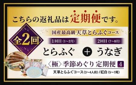 【2回定期便】【極】季節めぐり定期便4 ふぐ フグ 河豚 とらふぐ トラフグ てっさ てっちり うなぎ ウナギ 鰻 熊本県 上天草市