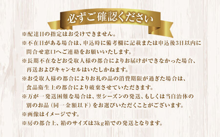 シャインマスカット 約1.8kg マスカット ぶどう ブドウ 葡萄 くだもの 果物 フルーツ 種なし 山梨県 中央市 送料無料 【2026年8月下旬-10月下旬発送予定】