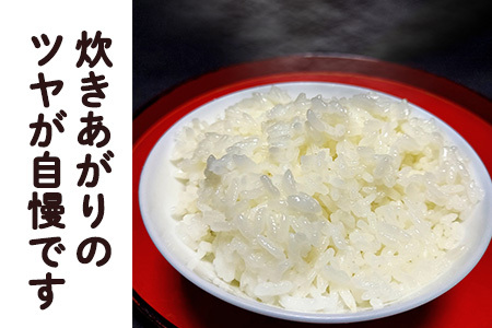 【令和7年産】銀河のしずく 厳選プレミアム　玄米5kg【2232】