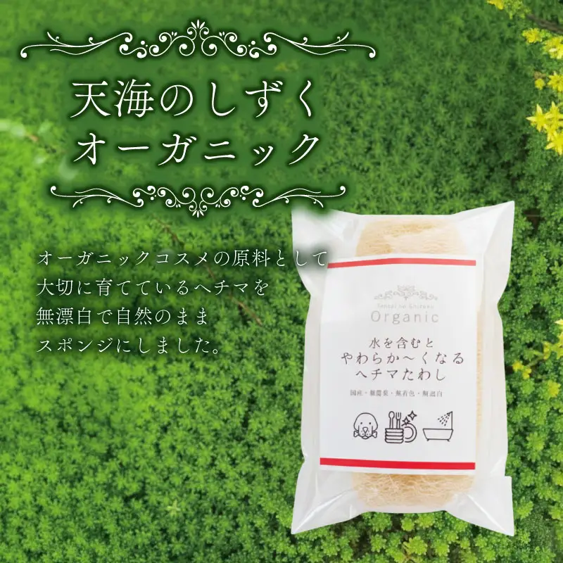 ヘチマたわし (Mサイズ) 未漂白 たわし ボディスポンジ 有機JAS認定農園