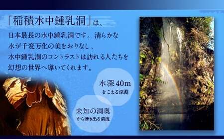 058-927x1 稲積水中鍾乳洞 ペア入場券