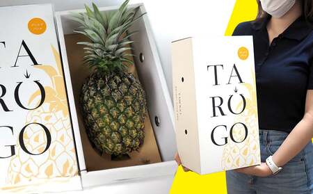 パイナップル ゴールドバレル TARUGO 約2kg（1玉）白箱 贈答用