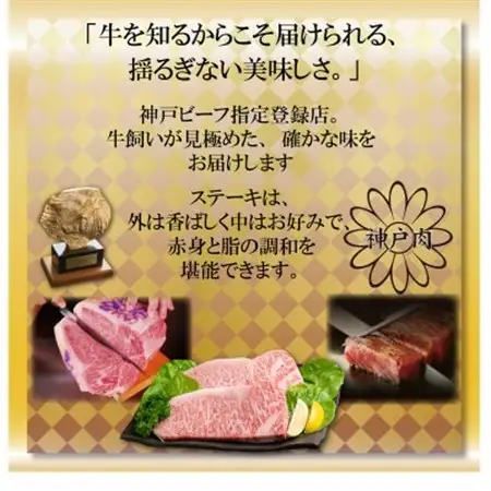 神戸牛 ロースステーキ 250g×2枚 計500g AGST5【配送不可地域：離島】【1682464】