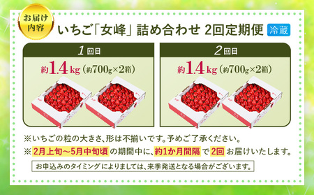 あぐりぼん「女峰」詰め合わせ 2回定期便 |いちご 果物 フルーツ 定期便 女峰 希少 デザート ストロベリー 果肉 スイーツ 甘い 国産 贈り物 贈答 プレゼント グルメ 人気 おすすめ 季節 旬 旬の果物 詰め合わせ 香川県 三木町 送料無料|_ mk144-t001