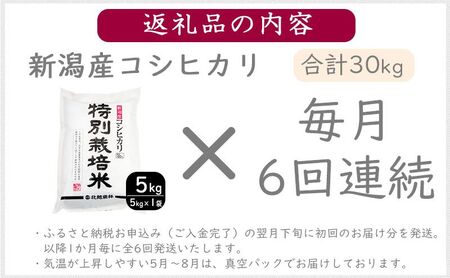 特別栽培米新潟産コシヒカリ5kg　毎月6回連続でお届けします。g 米 お米 こめ コメ ごはん 新潟 白米 コシヒカリ ブランド米 銘柄米 お取り寄せ 産地直送