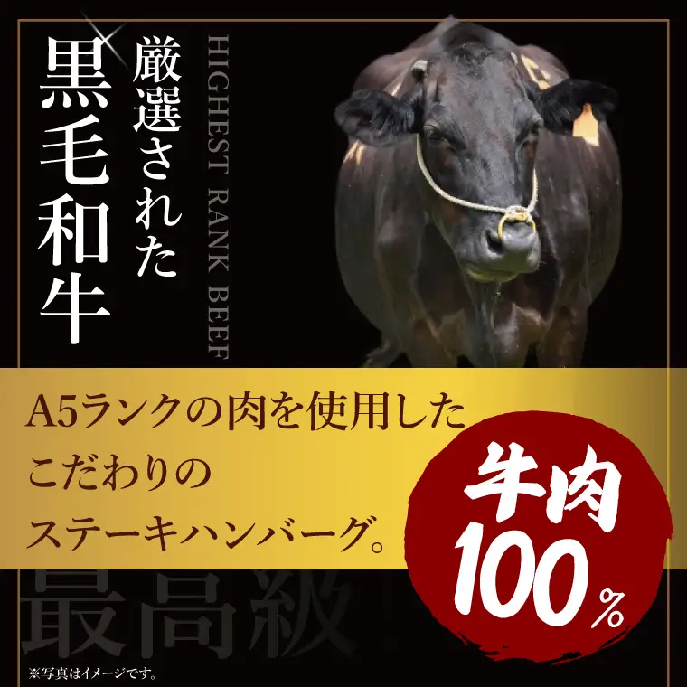黒毛和牛　A5ランク　ステーキハンバーグ 極 120ｇ×5食入【埼玉県　春日部　国産　惣菜 冷凍　湯煎　レンジ調理　レンチン】（DH001）