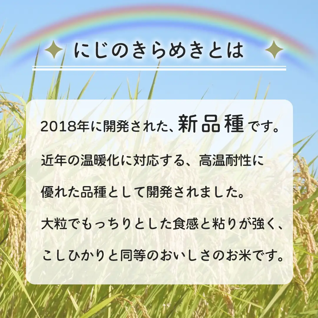 令和7年産 にじのきらめき 5kg ( 5kg × 1袋 ) お米 ごはん 精米 コメ 白米 国産 茨城県 桜川市 銘柄米 [AX015sa]