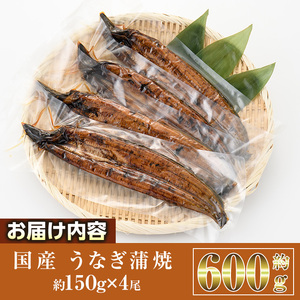 国産 うなぎ 蒲焼 (約150g×4尾) 鰻 タレ かば焼き うな重 うな丼 ひつまぶし 小分け 真空包装 真空パック 【AW-94】【丸正水産】