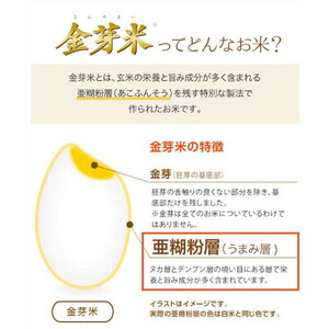 【 金芽米 】愛知県 美浜町産 にじのきらめき 5kg 無洗米｜きんめまい 米 お米 美浜町 糖質オフ BG無洗米 新米※北海道・沖縄・離島への配送不可