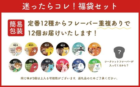 【福袋】951アイスクリーム　12個セット｜スイーツ 北海道 札幌市