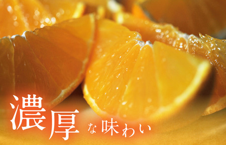 【先行予約】マルハ果樹園 プレミアムまどんな（家庭用）2L～M 12～16玉