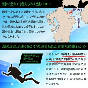 ＼テレビで紹介されました！／ 便利で嬉しい！国東カットわかめをおためし20パック_0005N-3