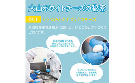大山ホワイトチーズ_T2600404