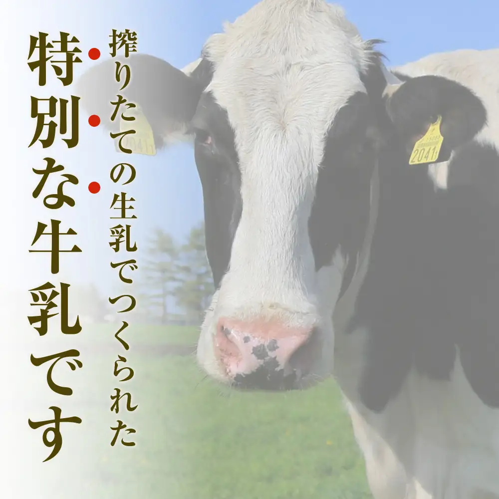 北海道細澤牧場ノンホモ牛乳 900ml×2本
