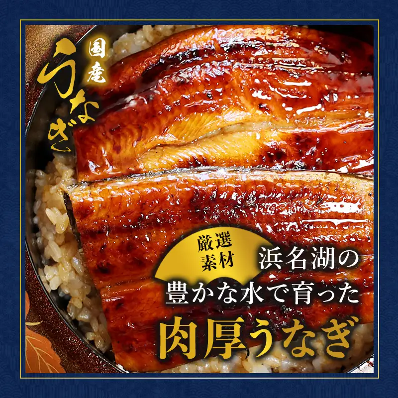 浜名湖産 うなぎ蒲焼き 特製タレ付き 1尾