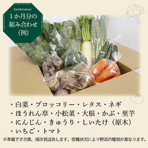 【３か月定期便】東京唯一の道の駅・八王子滝山から、新鮮野菜＆フルーツのセットをお届け