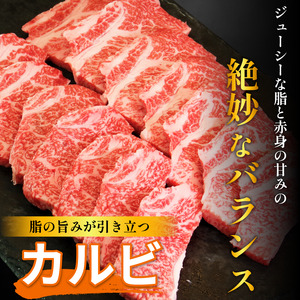 焼肉 カルビ 500g 阿波牛 焼肉
