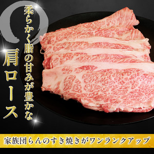 すき焼き セット 500g 阿波牛 すき焼き