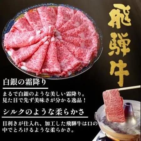 飛騨牛【白銀ロース】すき焼き・しゃぶしゃぶ用500g【配送不可地域：離島】【1681895】