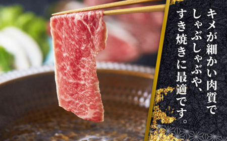 【全6回定期便】あか牛リブローススライス 約400g あか牛スライス[AYCQ096]