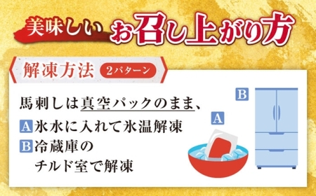【全3回定期便】熊本肥育 馬刺し 赤身 約500g 馬刺し[AYDM006]