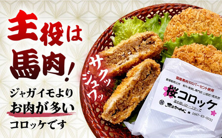 【全3回定期便】熊本肥育 桜コロッケ 馬肉 コロッケ 10個[AYDM014]