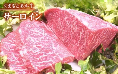 くまもと赤牛特選馬刺しセットC 赤牛[AYDM020]
